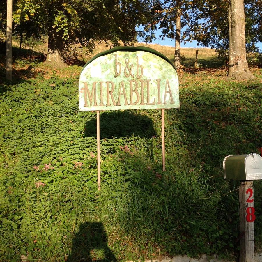 Adrara San RoccoMirabilia住宿加早餐旅馆 外观 照片